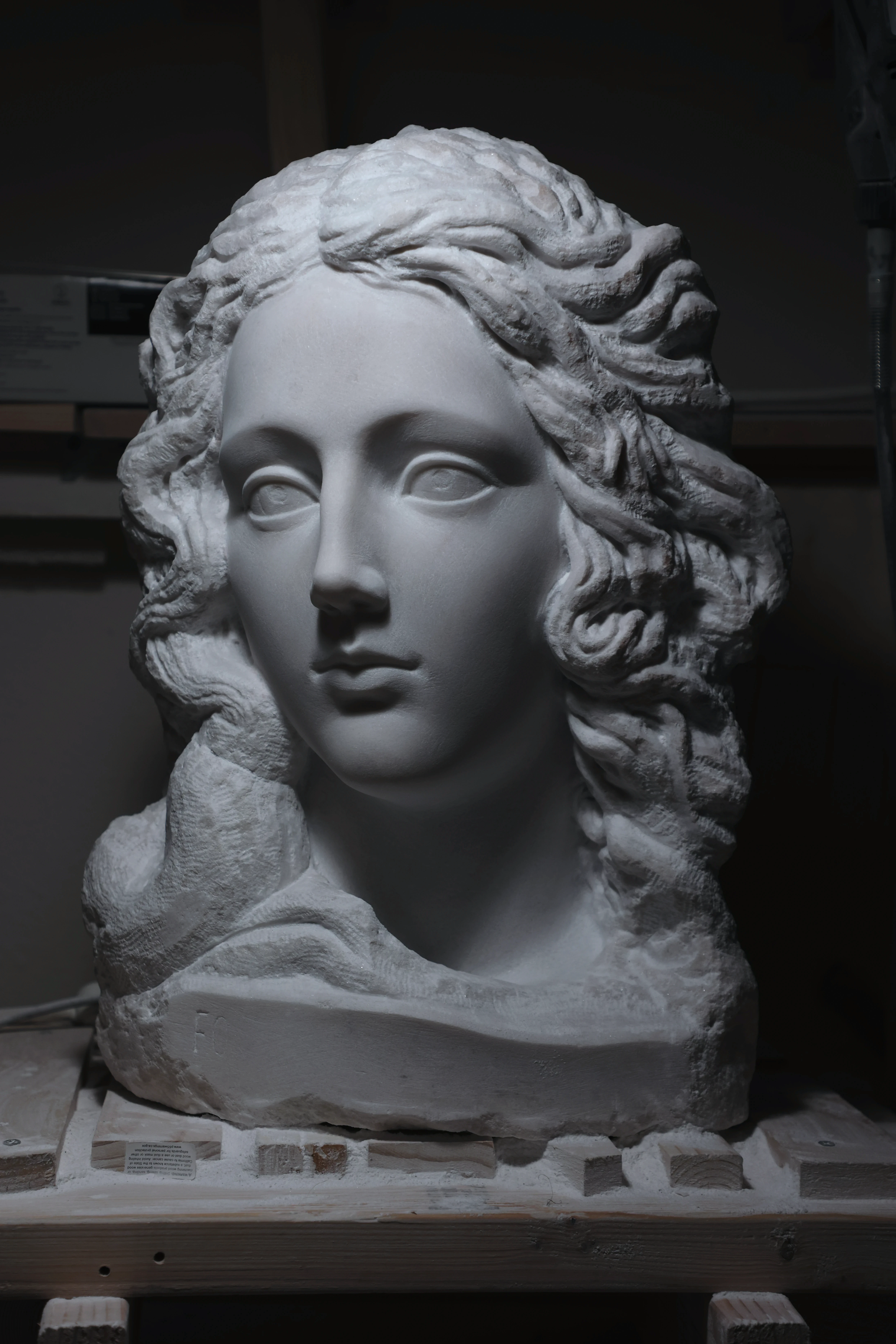 The Goddess of Luck in Spring