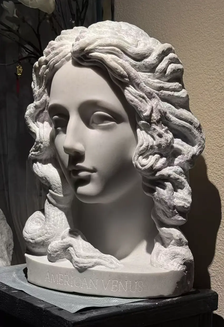 American Venus in Progress