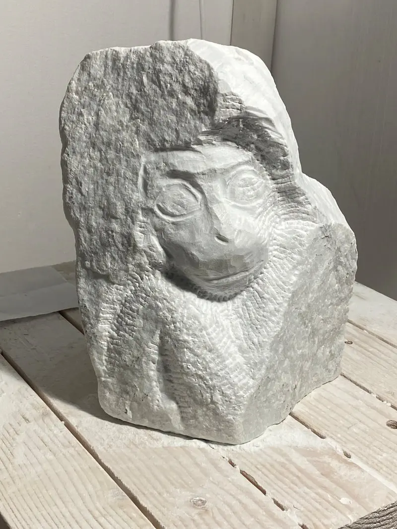 Monkey Angle 1