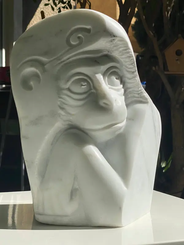 Monkey Angle 2